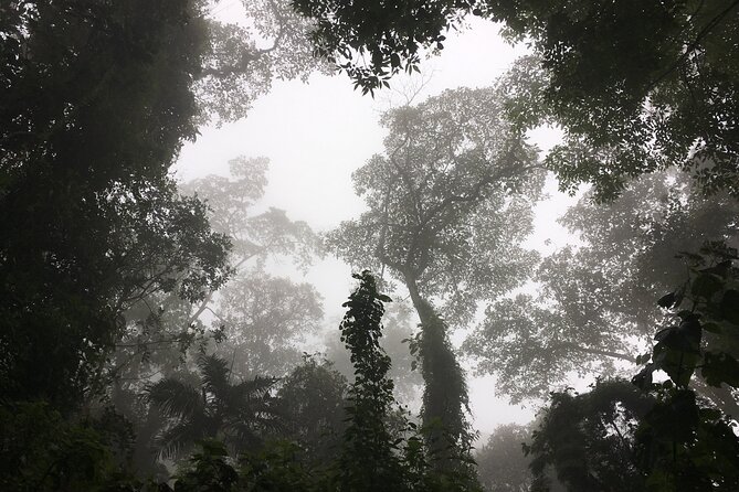 Chicaque Cloud Forest Hike - 4 hours - What Your $95 Includes, and What It Does Not