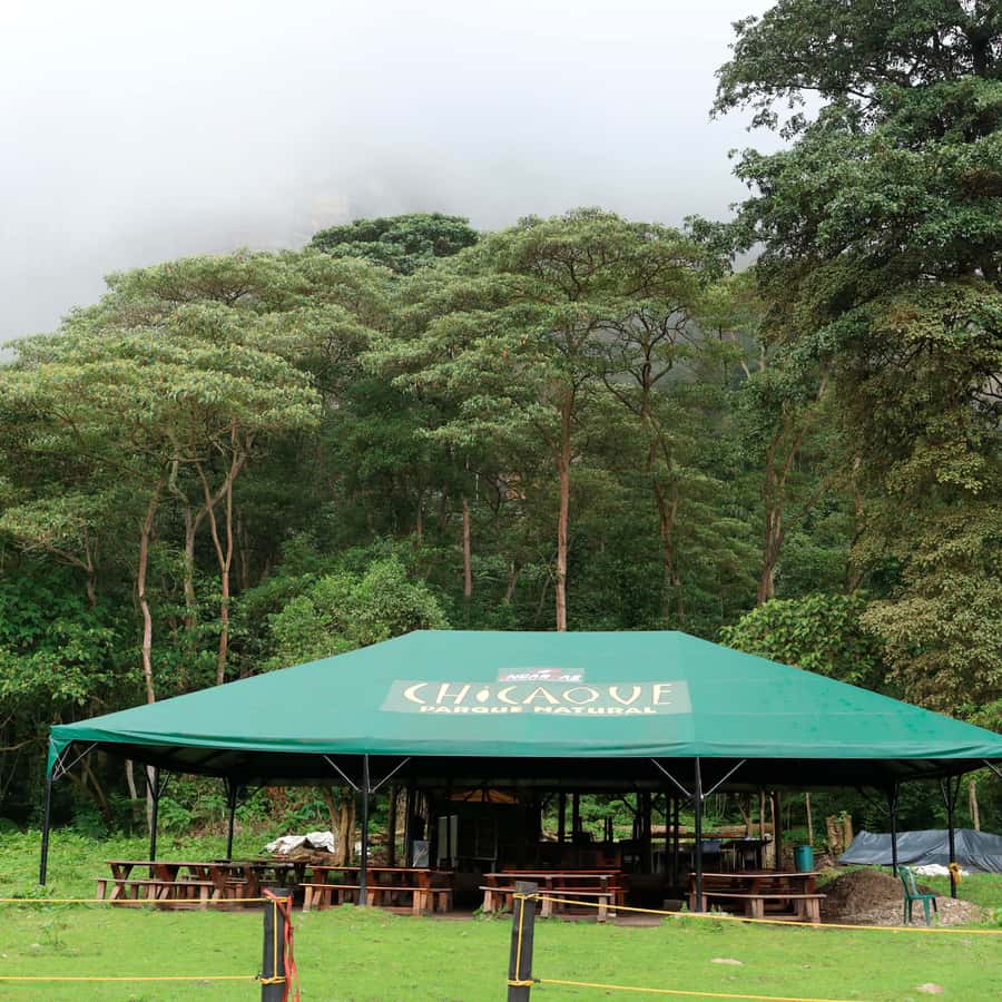 Chicaque Foggy Forest Hike - Why this Chicaque foggy forest day hike feels different than a casual walk