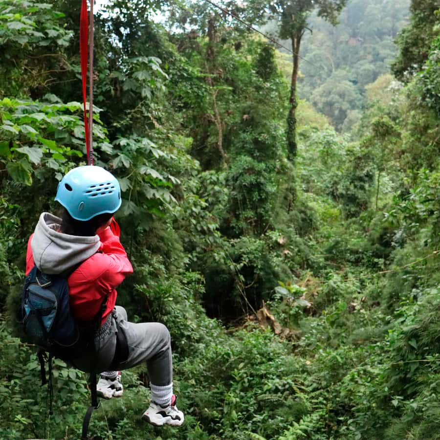 Chicaque Foggy Forest Hike - Waterfalls and streams: the payoff that makes the effort worth it