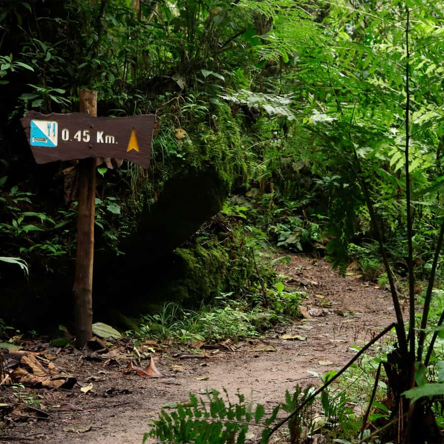 Chicaque Foggy Forest Hike - The Bogotá pickup and the Soacha stop that break up the day
