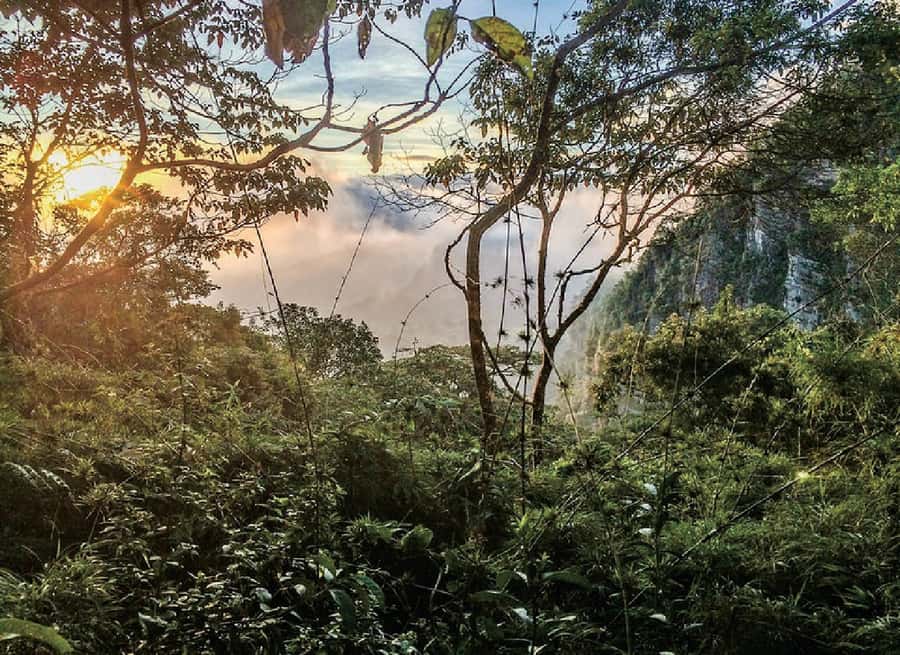 Chicaque Full-Day Trip from Bogotá - Key Things You’ll Notice Fast
