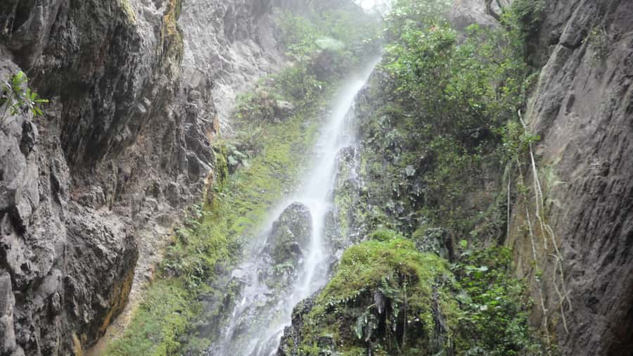 Chicaque Full-Day Trip from Bogotá - Getting There and Back with Private Pickup and a Waiting Driver