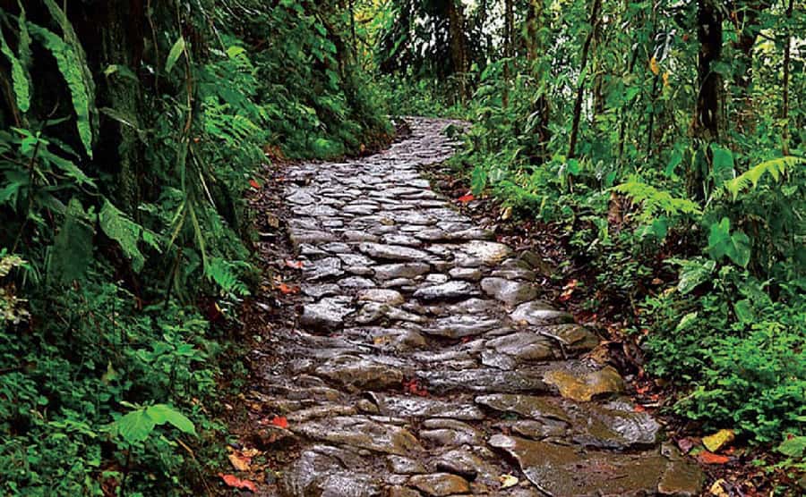 Chicaque Full-Day Trip from Bogotá - Streams, Oak Forest, and Viewpoints You Can Actually Reach
