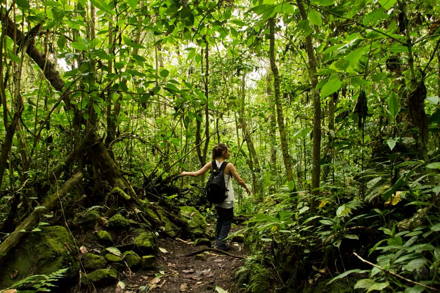 Chicaque Full-Day Trip from Bogotá - Timing That Actually Works: 8 Hours Total with About 5 Hiking