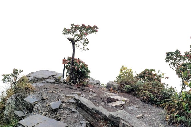 Chicaque National Park - Hiking on the nine marked trails without getting lost