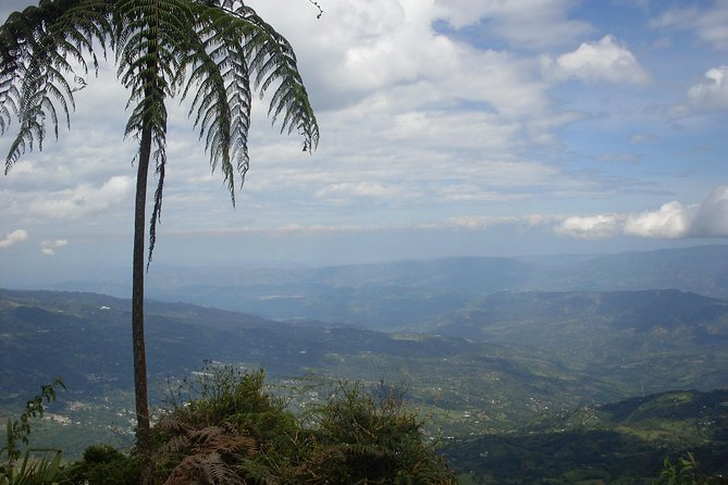 Chicaque Natural Park - Hiking or Birdwatching experience - Chicaque Natural Park: a cloud-forest escape you can do in one day