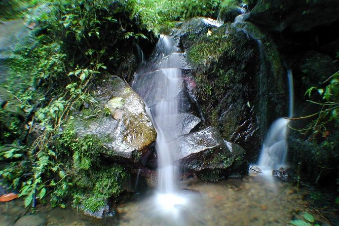 Chicaque Natural Park - Hiking or Birdwatching experience - The private transfers that make a long day feel manageable