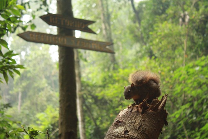 Chicaque Natural Park - Hiking or Birdwatching experience - How the day unfolds: Bogotá pickup to park time, then back again