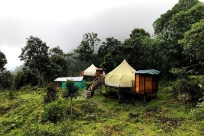 Chicaque Natural Park – Hiking or Birdwatching experience