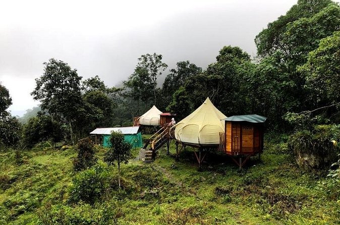 Chicaque Natural Park - Hiking or Birdwatching experience - Stop in the right mindset: what to do with the cool, high-altitude air