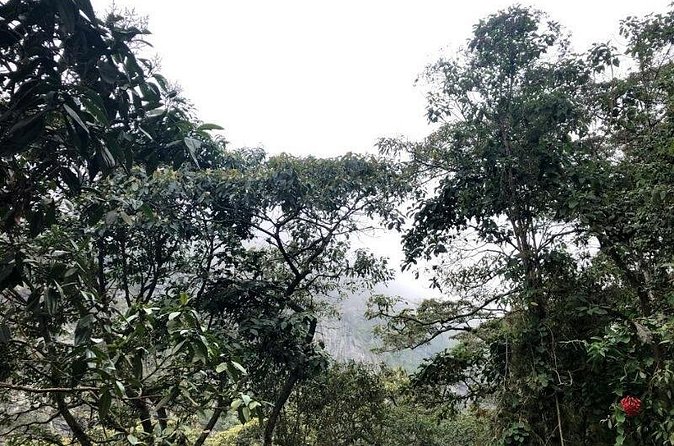 Chicaque Natural Park - Hiking or Birdwatching experience - The lunch that turns a hike day into a full day