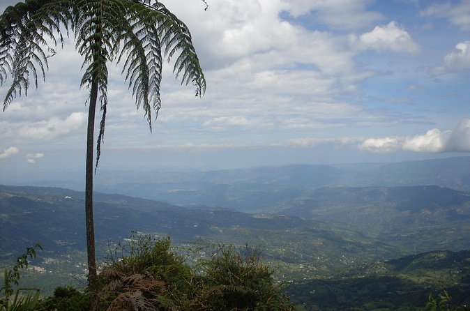 Chicaque Natural Park - Hiking or Birdwatching experience - Price and value: what $164.60 gets you from Bogotá