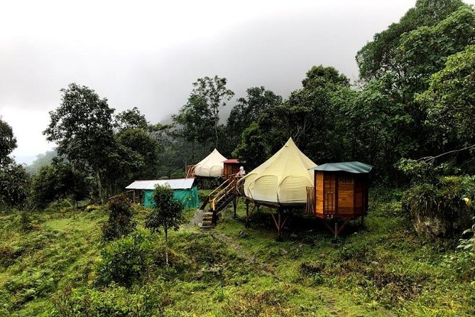 Chicaque Natural Park - Hiking or Birdwatching experience - Hike or birdwatching: how to choose your best-fit version of the day
