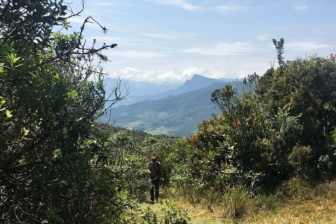 Chingaza National Park Day Tour from Bogotá: Andean Wilderness - Key Things You’ll Notice on This Chingaza Day Tour