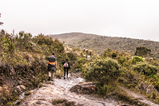 Chingaza National Park Day Tour from Bogotá: Andean Wilderness - Reserva Ecopalacio Chingaza: The Ceremony and the Real Páramo Hiking