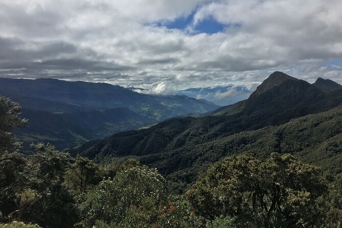 Chingaza National Park Day Tour from Bogotá: Andean Wilderness - Price and Value: Is $465 Worth It for a Private Day?