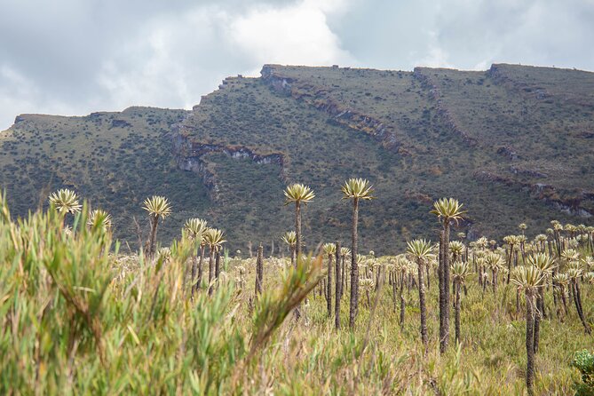 Chingaza Siecha & Cuchillas Lakes Trek - 5 hours - Stop 2: La Calera, a practical reset on the way back
