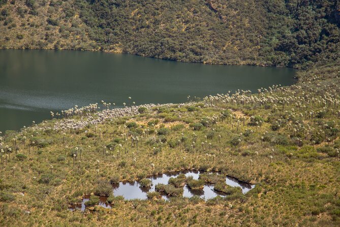 Chingaza Siecha & Cuchillas Lakes Trek - 5 hours - Altitude and trail conditions: the real challenge is the air and the ground