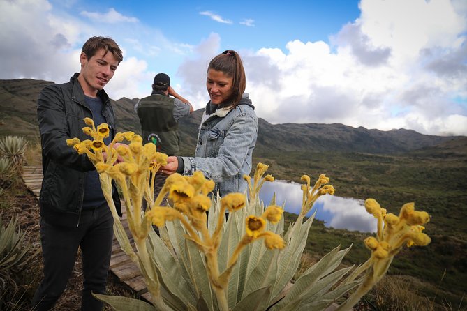 Chingaza Wildlife Páramo Adventure - Who This Tour Fits Best (And Who Might Want a Different Option)