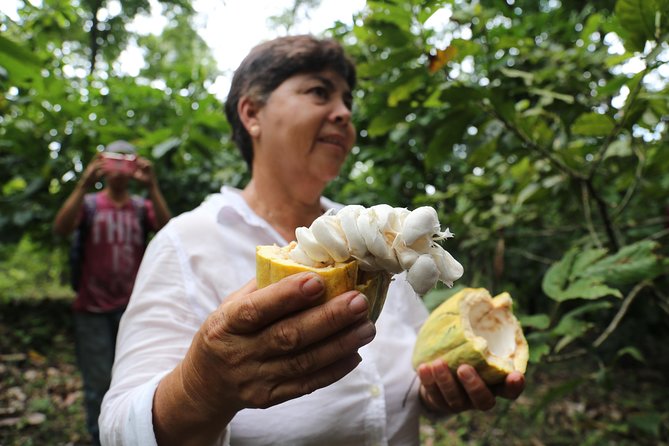 Chocolate & Coffee Farm Experience - The Route and Timing: A 12 to 14 Hour Country Day