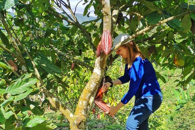 Chocolate Farm Private Tour in Medellin: Real Genuine Experience - Key points worth knowing