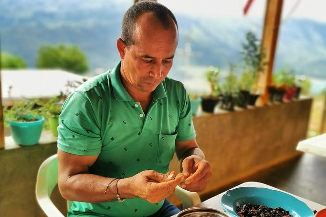 Chocolate Farm Private Tour in Medellin: Real Genuine Experience - Fermenting and Drying: How One Tour Explains Days of Waiting