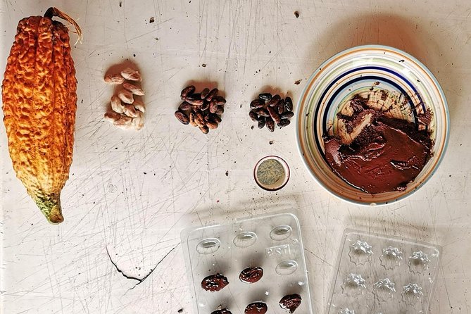 Chocolate Farm Private Tour in Medellin: Real Genuine Experience - From Your Hotel to the Farm: The Mountain Drive and First Tastes
