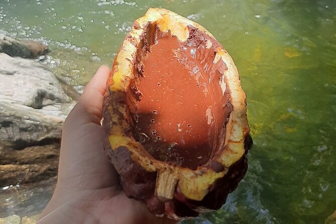 Chocolate roads at Camantours with Waterfall Experience - Waterfall time and cacao exfoliation: why this ending feels special