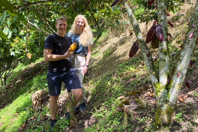 Chocolate tour near Medellin - Copacabana Countryside Time: The Family Cocoa Farm Experience