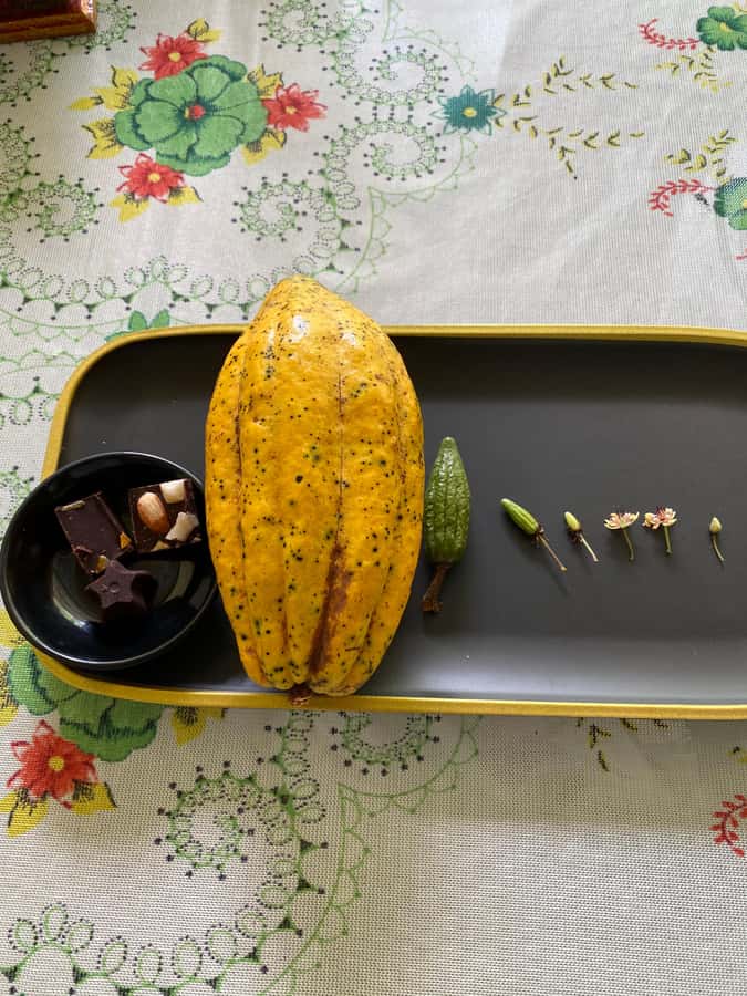 Chocolate tour near the Medellín - Price and value: is $126 per person a fair deal for this 6-hour day?