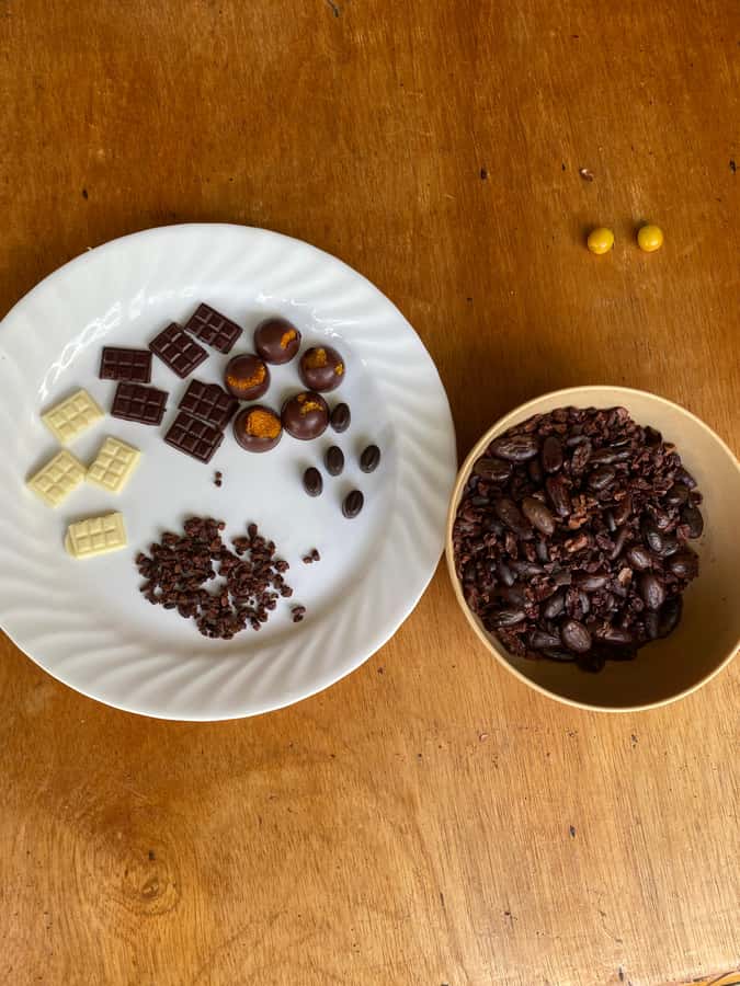 Chocolate tour near the Medellín - What to bring, what not to wear, and how to keep the day comfortable