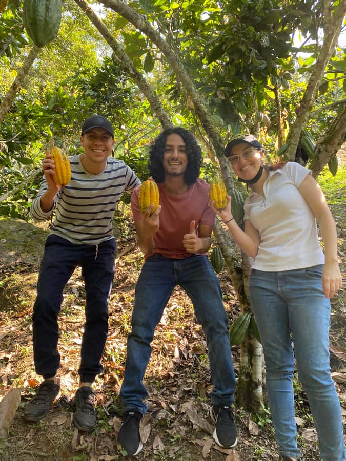 Chocolate tour near the Medellín - Who this chocolate tour near Medellín is perfect for, and who should skip