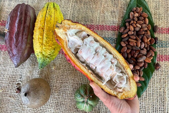 Chocolate Tour With Exfoliation in Beautiful River from Medellín! - Medellín to Cocorná and the river, a day with two moods