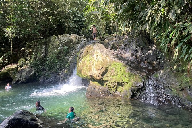 Chocolate Tour With Exfoliation in Beautiful River from Medellín! - San Francisco cacao farm: see every step from pod to tempering