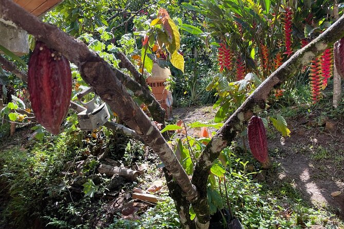 Chocolate Tour With Exfoliation in Beautiful River from Medellín! - The part that feels hands-on: making and packaging your chocolate bar