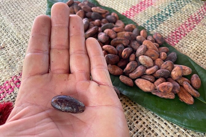 Chocolate Tour With Exfoliation in Beautiful River from Medellín! - Pailania river waterfall exfoliation: cocoa butter, skin, and a natural massage