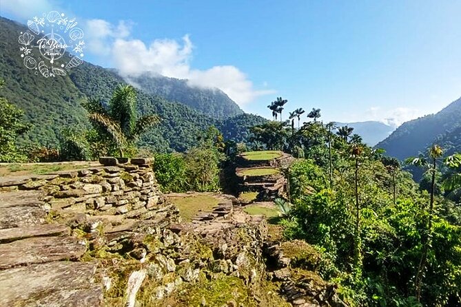 Ciudad Perdida "Teyuna" 4 Days Tracking Tour - Day 4: hike back to Mamey and the ride to Palomino