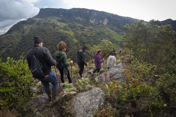 Cloud Forest & Waterfalls Half-Day Hike - Key things to know before you go
