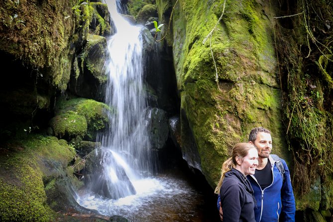 Cloud Forest & Waterfalls Half-Day Hike - What the guide adds, from trail know-how to quick fixes