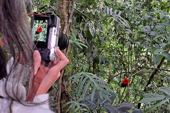 Cock of the Rock Birdwatching in Jardin with Professional Guide - Stop 1 in Jardín: Main Square and El Libertador Square orientation