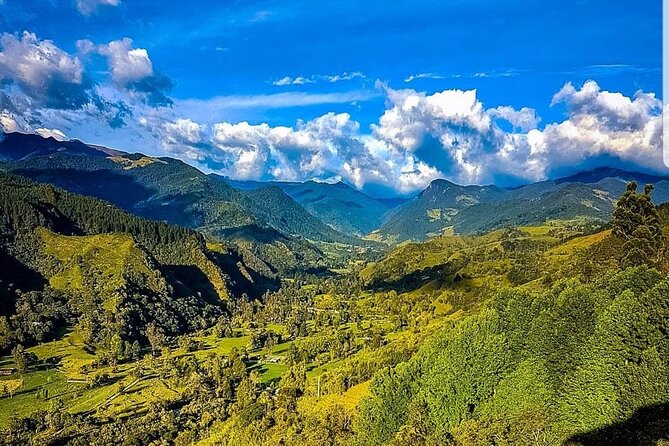 Cocora, Salento and Filandia (The daughter of the Andes) Walking Tour in Quindio - Quindio in one day: how Cocora, Salento, and Filandia fit together