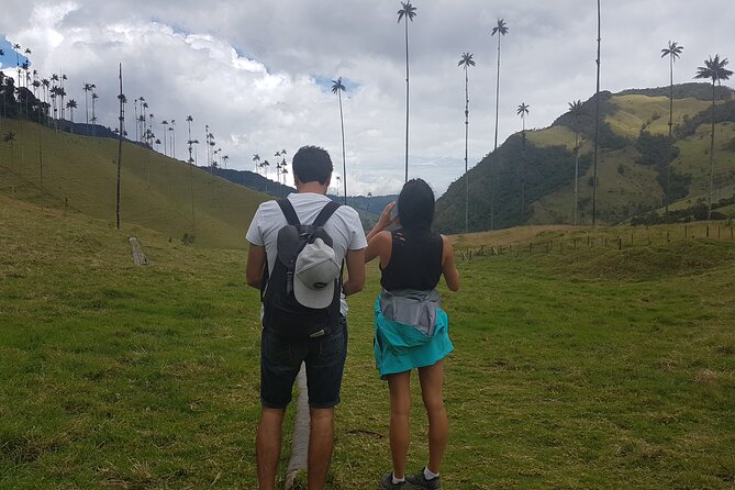 Cocora, Salento and Filandia (The daughter of the Andes) Walking Tour in Quindio - Transportation, duration, and how to plan your day from Pereira