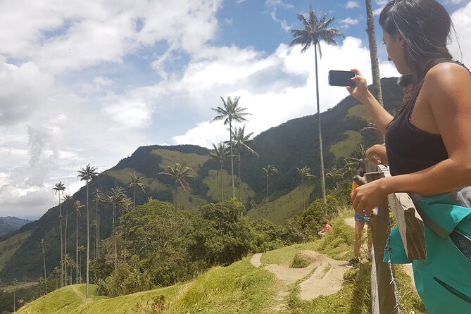 Cocora, Salento and Filandia (The daughter of the Andes) Walking Tour in Quindio - Cocora Valley wax palms: walking the world’s tallest trees