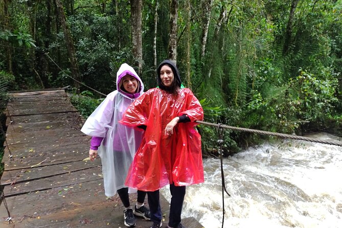 Cocora Valley and Salento Hike Tour - Price and value: what $99 buys you in real terms