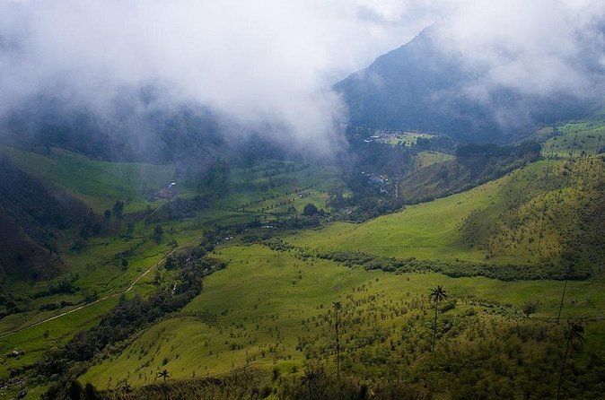 Cocora Valley and Salento Hike Tour - Valle del Cocora stop: wax palms, protected nature, and included entry