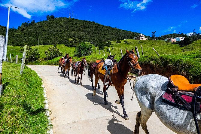 Cocora Valley and Salento Horseback Riding Day Tour - Price and value: is $152 per person fair for what you get?