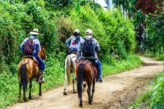 Cocora Valley and Salento Horseback Riding Day Tour - The guided ride around viewpoints near Salento