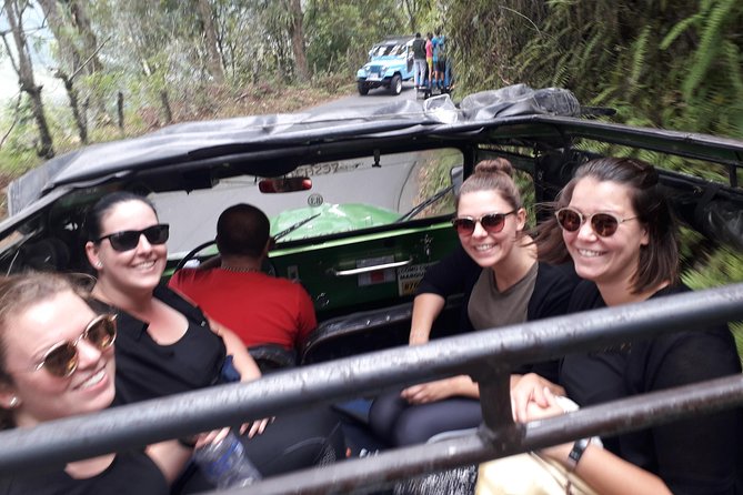 Cocora Valley: Birding & Hiking with Breakfast & Lunch - Bosques de Cocora: 2,862 meter picnic, viewpoints, six suspension bridges