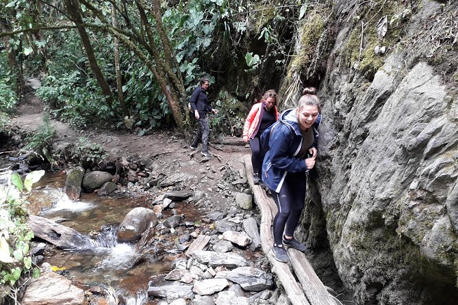 Cocora Valley: Birding & Hiking with Breakfast & Lunch - Salento at the end: a short break in town