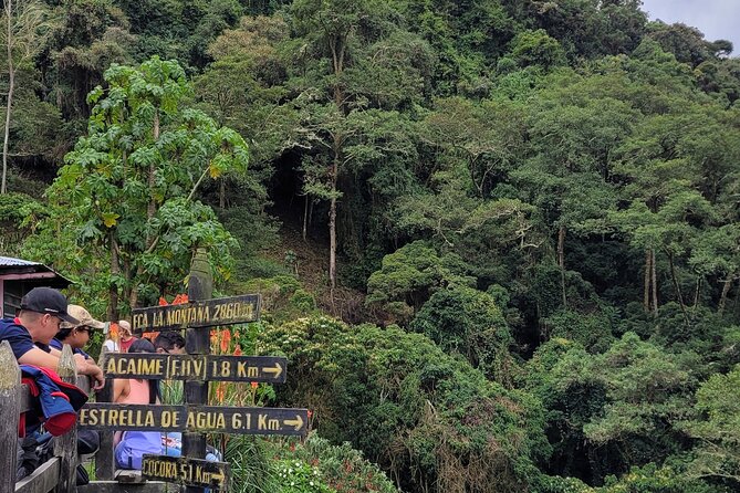 Cocora Valley: Birding & Hiking with Breakfast & Lunch - Practical tips for a smoother Cocora birding day